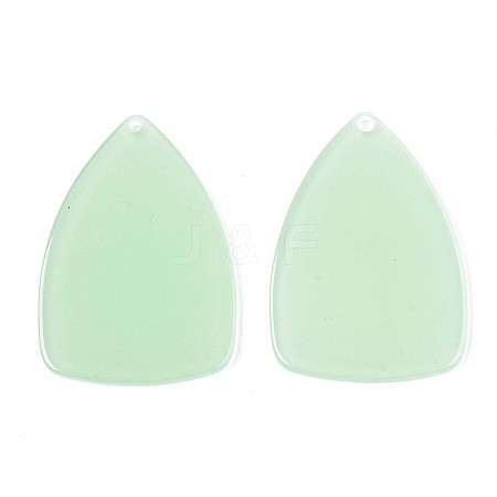 Translucent Cellulose Acetate(Resin) Pendants KY-T040-42A-1