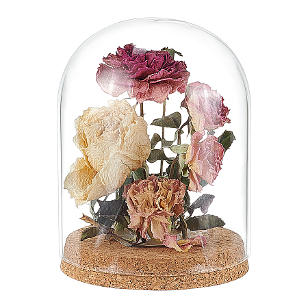 Glass Dome Cover AJEW-WH0248-550C-1
