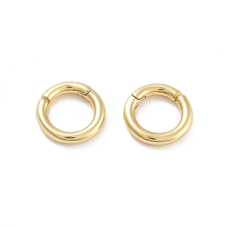 Rack Plating Brass Twister Clasp LS-KK-G512-09B-G-1