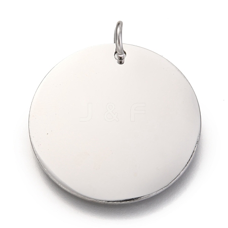 Non-Tarnish 304 Stainless Steel Charms EJEW-L238-03F-P-1