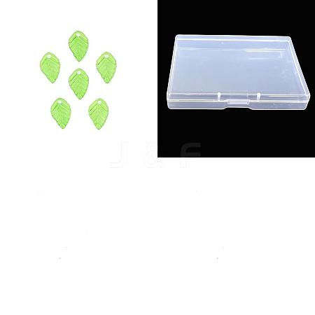 300Pcs Transparent Acrylic Charms TACR-CJD0001-01-1