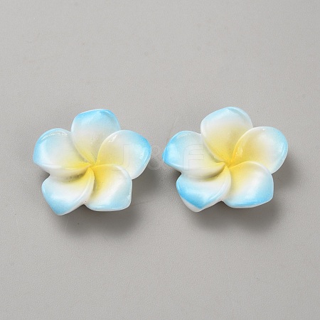 Two Tone Resin Cabochons LS-RESI-WH20010-01E-1