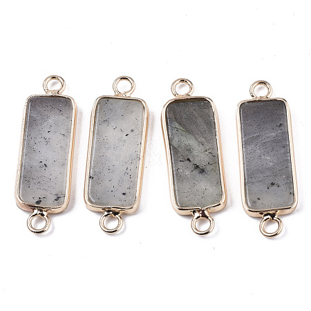 Natural Labradorite Links Connectors G-N326-33C-1