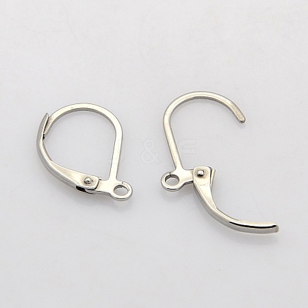 Tarnish Resistant 304 Stainless Steel Leverback Earring Findings STAS-N019-06-1