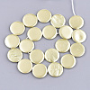 Shell Pearl Beads Strands X-SSHEL-T007-22E-2
