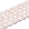 Natural Cultured Freshwater Pearl Beads Strands PEAR-T006-19C-2