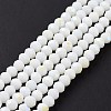 Electroplate Opaque Solid Color Glass Beads Strands LS-EGLA-A044-P3mm-L01-2