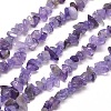 Natural Amethyst Chip Bead Strands G-M205-04-1