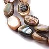 Natural Paua Shell Beads Strands BSHE-B007-06-3