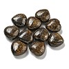 Natural Bronzite Beads G-P531-A23-01-1