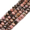 Natural Rhodonite Beads Strands G-C259-A25-5x8mm-2