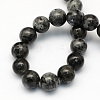 Natural Larvikite Round Beads Strands LS-G-S159-6mm-2