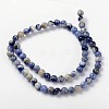 Natural Sodalite Beads Strand GSR12mmC013-3