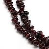 Natural Garnet Beads Strands G-P035-18-2