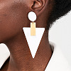Alloy Acrylic Dangle Stud Earrings FS-WGB5909-02-3