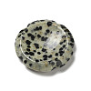 Natural Dalmatian Jasper Worry Stones G-E586-01S-2