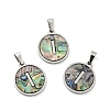 304 Stainless Steel with Paua Shell Pendants STAS-G268-02I-P-1