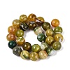Natural Dragon Veins Agate Beads Strands G-Q606-42B-D02-3