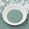 MIYUKI Delica Beads SEED-X0054-DB2313-2