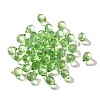 Transparent Glass Charms LS-GLAA-P070-A06-2