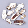 Sea Shell Beads SSHEL-S258-56-1