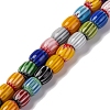 Handmade Lampwork Beads Strands LAMP-K041-01A-03-1