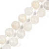 Natural White Moonstone Beads Strands G-G182-B09-05-1