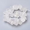 Natural Quartz Crystal Beads Strands G-I283-F06-2