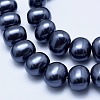 Electroplate Shell Pearl Beads Strands BSHE-G006-04E-3