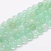 Natural Green Fluorite Beads Strands G-E112-10mm-1-1