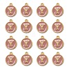 Golden Plated Alloy Enamel Charms LS-ENAM-S118-07Y-2