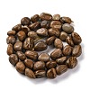 Natural Picture Jasper Beads Strands LS-G-G146-A01-01-3