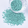 Baking Paint Cylinder Seed Beads SEED-Q036-02A-D05-1