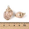 Electroplate Natural Spiral Shell Pendants SSHEL-N042-08-3