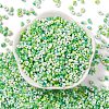 Baking Paint Glass Seed Beads SEED-C003-01E-2