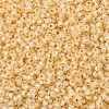 MIYUKI Round Rocailles Beads SEED-JP0008-RR0552-3