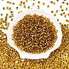 6/0 Baking Paint Transparent Fringe Glass Seed Beads X1-SEED-N006-06C-2