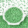 FGB Baking Paint Glass Seed Beads SEED-Q040-09A-12-2