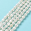 Natural Cultured Freshwater Pearl Beads Strands PEAR-Z002-16-2