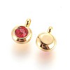 304 Stainless Steel Rhinestone Charms STAS-P237-10G-01-2