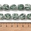Natural Green Spot Jasper Beads Strands GG-CBAF8A8-A01-01-3