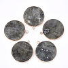 Natural Labradorite Pendants G-T112-24H-1