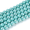 Electroplate Opaque Glass Beads Strands GLAA-T032-P6mm-AB24-1