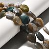 Natural Indian Agate Beads Strands G-P561-B12-01-2