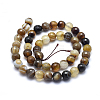 Natural Striped Agate/Banded Agate Beads G-J371-14-14mm-2