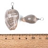 Brass & Natural Oliva Shell Pendants SHEL-Q029-22P-3