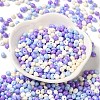 6/0 Opaque Baking Paint Glass Seed Beads SEED-M012-02A-29-2