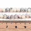 Baking Paint Glass Beads Strands DGLA-N003-4mm-C05-5