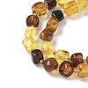 Natural Amber Beads Strands G-L095-E01-01-4