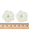 Natural & Synthetic Mixed Gemstone Carved Pendants G-P585-02G-4